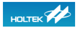 Holtek LOGO