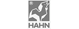 HAHN LOGO