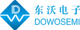 DOWOSEMI LOGO